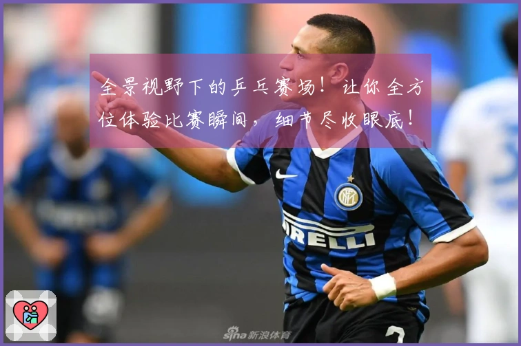 全景视野下的乒乓赛场！让你全方位体验比赛瞬间，细节尽收眼底！