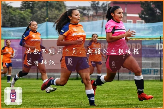 执教不到三个月，新疆队主教练格兰将辞职