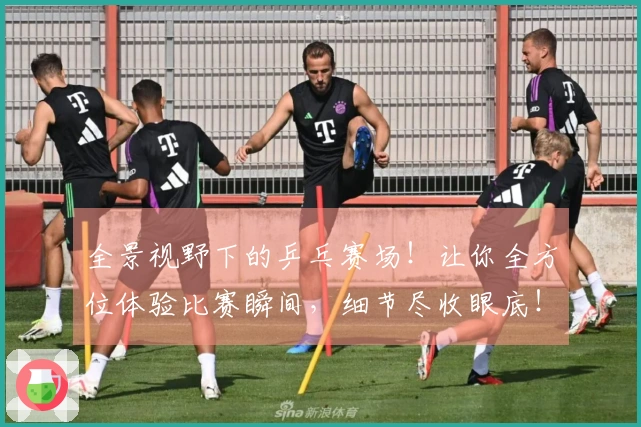 全景视野下的乒乓赛场！让你全方位体验比赛瞬间，细节尽收眼底！