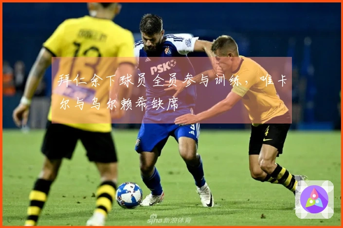 拜仁余下球员全员参与训练，唯卡尔与乌尔赖希缺席